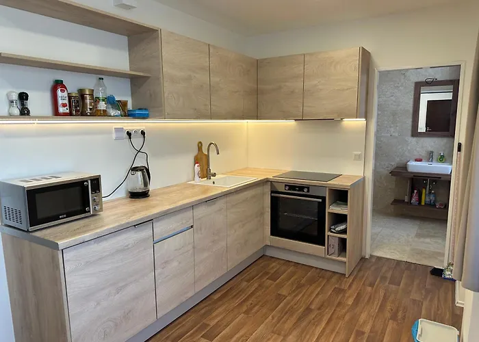 Vinarsky Dum Kovarna Appartement Brezi (Breclav)